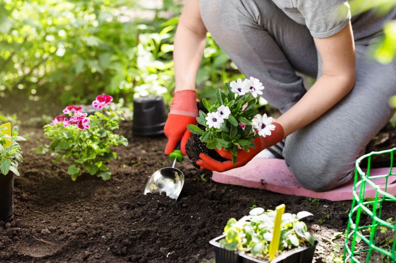Maximizes seasonal color and visual impact.