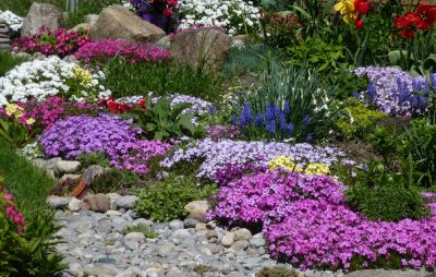Enhances curb appeal and property value.